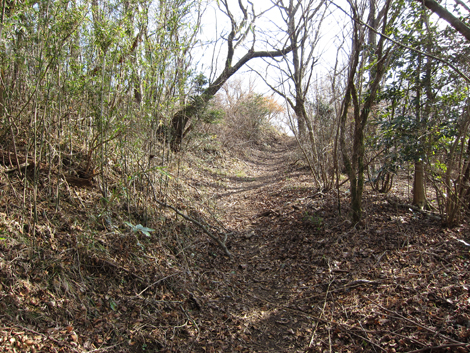 20200122hike (162)